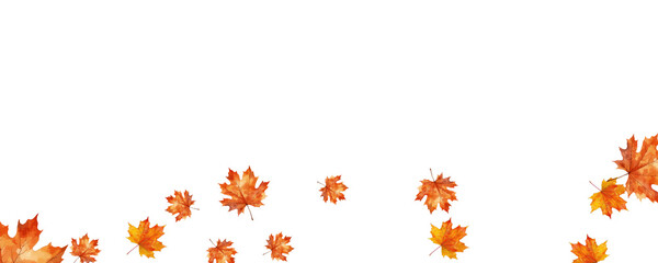 Autumn leaf falling overlay transparent image spring maple