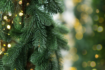 Christmas tree branches and Blurred bokeh background with light bulbs. Merry christmas and new year holidays background	