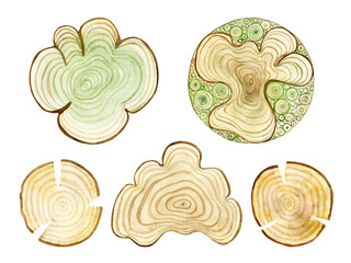 Watercolor set of wooden pattern with wavy ring isolated on a white background.