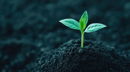 Sapling Growing in the Shape of Earth Representing the Potential for Environmental Growth and Sustainability  A Symbolic Representation of the Earth s Capacity for Renewal and a Greener Future