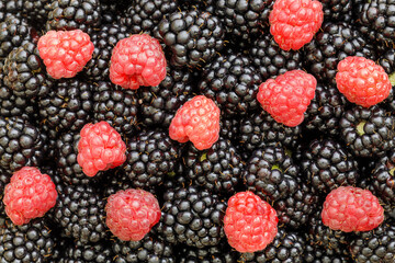 Fresh ripe blackberries and raspberries as background, top view. Juicy ripe black and red berries in a heap. Texture of kberries close-up