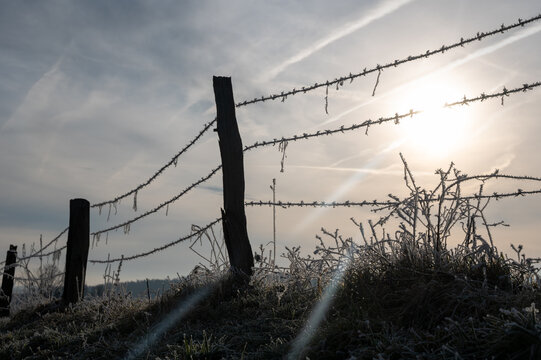 A  fence on a pasture , with ground frost on a cold winter day  with sun