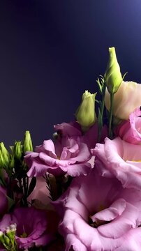 Pink eustoma and rose bouquet close-up on dark background &mdash; elegant floral composition with white buds, romantic flowers, wedding decoration, luxury blossom, beauty concept, natural elegance