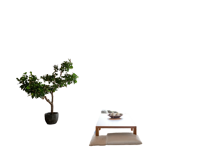 A serene indoor scene features a low wooden table set for tea, a miniature tree, and cushions. The backdrop is black