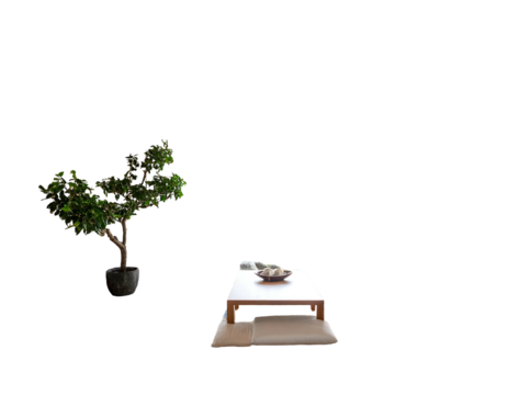 A serene indoor scene features a low wooden table set for tea, a miniature tree, and cushions. The backdrop is black