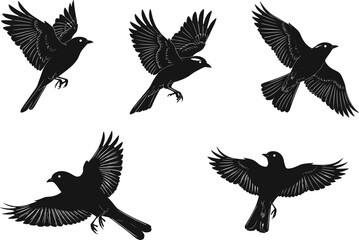 Flying bird silhouettes in various wing positions isolated on white background, perfect for nature, wildlife, and flight-themed vector designs.