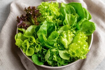 Fresh assorted lettuce in a bowl