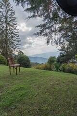 landscape with a tree and a bench