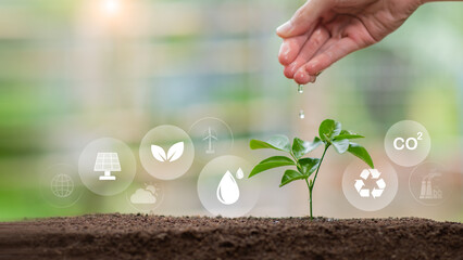 A hand watering a small plant surrounded by eco icons symbolizes sustainability, clean energy, water conservation, and carbon reduction. Ideal for environmental, green tech, renewable energy themes.