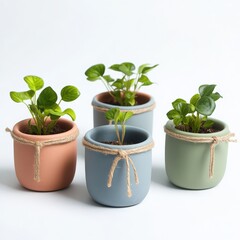 Fototapeta premium Charming mini terracotta pots with string accents for delightful plant displays in various colors