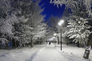 A woman walks along a park alley on a winter evening