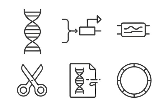 Synthetic Biology Icons. Line style icons of synthetic biology fundamentals: DNA double helix, genetic circuit diagram, synthetic