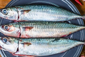 Three fresh mackerel fish arranged on a dark plate