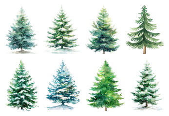 Fototapeta premium Watercolor evergreen trees collection.