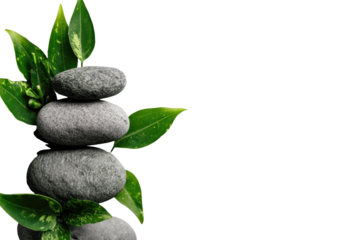 Gray stones stacked, green leaves