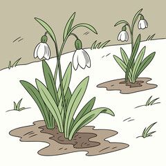 Snowdrop flowers in a snowy landscape with bare trees in winter season