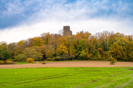 Tomburg bei Rheinbach in Nordrhein-Westfalen