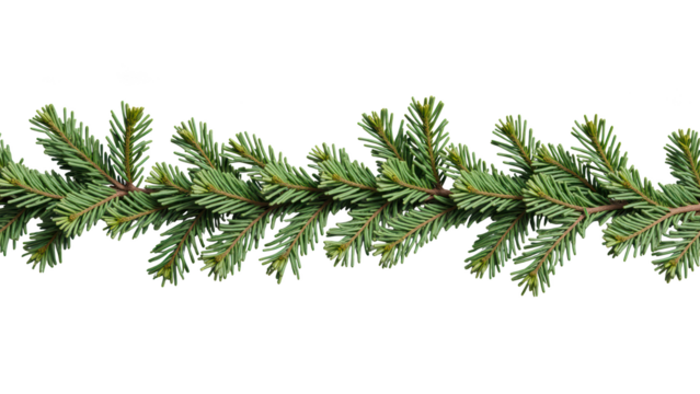 Fresh evergreen branches create natural border, showcasing vibrant green needles and lush texture, perfect for seasonal decorations
