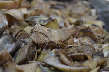 A close-up texture background of thick, fibrous, and roughly sliced banana pseudostem (false trunk) material. This agricultural byproduct is frequently utilized in tropical farming as natural fertiliz