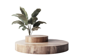 Wooden podium with green plant isolated on transparent background. Wooden podium with a podium isolated on white background.