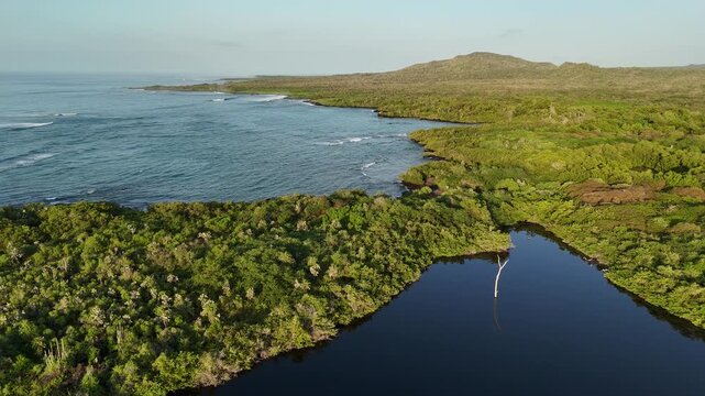 Isla Isabela, Galapagos Islands, Ecuador