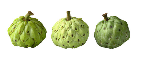 Fototapeta premium Three ripe cherimoyas displayed against a white background, showcasing their unique green, scaly texture and round shape, ideal for use in food-related articles or recipes