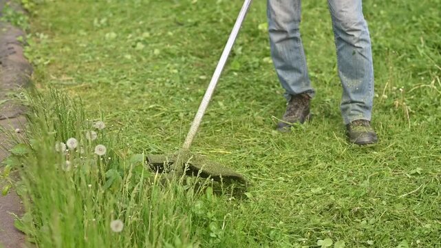 trimmer head spins violently through dense grass cutting thick grass, hurling fresh green clippings in all directions. pruning cord devours vegetation with brutal efficiency. captures trimmer cord