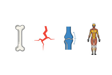 Human anatomy and physiology icon set for medical education and health illustration
