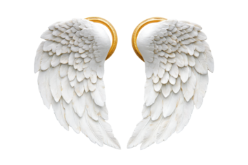 Pair of ornate white angel wings with gold trim isolated on transparent background. Pair large white angel wings with golden halo float on plain white background.