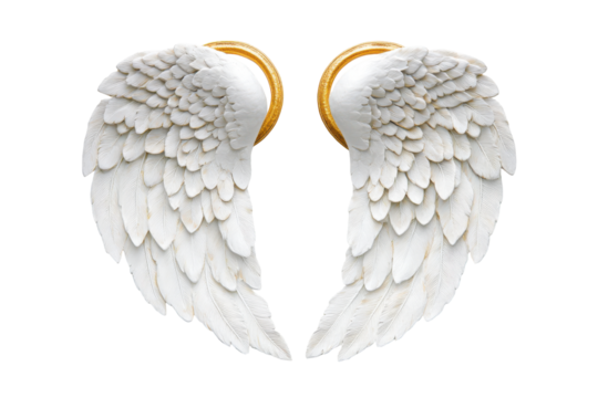 Pair of ornate white angel wings with gold trim isolated on transparent background. Pair large white angel wings with golden halo float on plain white background.