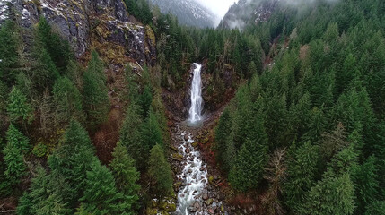 A waterfall rushes down a rocky cliff, surrounded by lush green trees. The water flows into a stream in a secluded forest landscape.