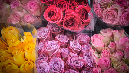 several bouquets of roses in different colors, including pink, yellow, and purple. holiday or special occasion background. flowers in bloom.