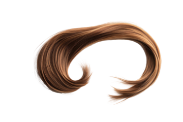 Brown hair ponytail tied with elastic isolated on transparent background. Brown ponytail hair attachment isolated on white background.