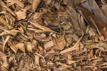 Organic Background of Dried Banana Leaves and Plant Debris Texture