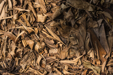 Organic Background of Dried Banana Leaves and Plant Debris Texture