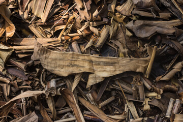 Organic Background of Dried Banana Leaves and Plant Debris Texture