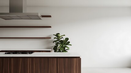 Modern Kitchen with Wooden Cabinets and Plant