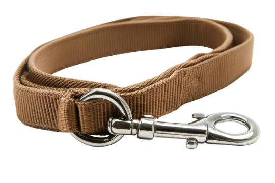 Brown nylon dog leash with metal clasp isolated on transparent background. Durable nylon dog leash featuring a strong metal carabiner isolated on white background.