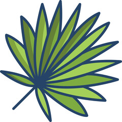 A Single Green Palm Frond With Dark Blue Outlines On A Transparent Background Isolated Vector Illustration