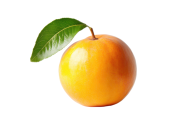 Ripe yellow persimmon fruit with green leaf isolated on transparent background. Fresh persimmon fruit featuring bright orange hue and green leaf isolated on white background.