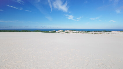 Shifting sand dunes in Łeba. Beautiful desert landscape. The Baltic Sea on the horizon. Coastal landscape. Poland. Slowinski National Park. Panorama. Summer