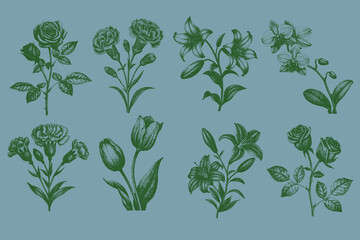 Collage flowers Rose, Carnation, Tulip, Lily, Orchid stipple effect vector illustration. Retro vintage stipple effect rose flower posters, surreal 90s aesthetic, psychedelic tattoo art. eps 10