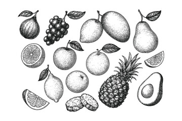 Detailed hand-drawn vector illustration of assorted tropical fruits including pineapple, avocado, and citrus, perfect for packaging, prints, or organic branding.