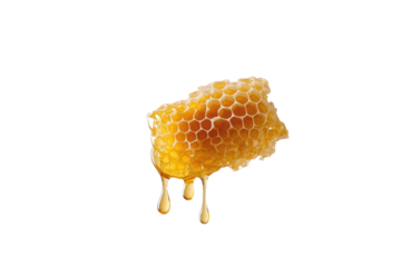 Sweet honeycomb dripping with golden honey isolated on transparent background. Honeycomb floating in the air with honey dripping down isolated on white background.