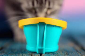 Close-up of a dog’s nose drinking from a portable bowl, promoting sustainable pet care and eco-friendly accessories. Shallow depth of field and warm tones enhance the cozy outdoor mood