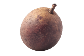 Brown Longan isolated on transparent background. Longan isolated on white background.