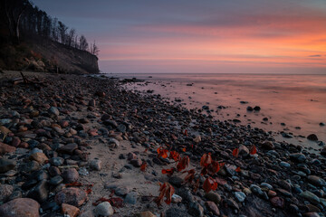 The landscape on the Baltic Sea.