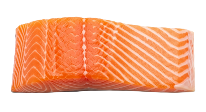 Raw salmon fillet with visible white fat marbling isolated on a transparent background fish seafood