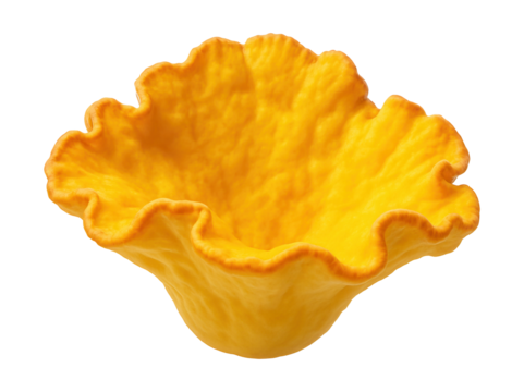 Yellow shelf fungus featuring wavy edges and a smooth underside.