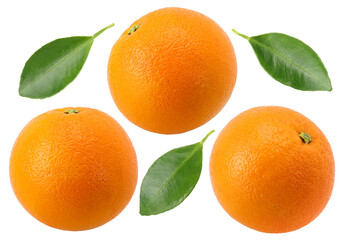 Close-up, Orange fruit ( Navel oranges) and leaves isolated, transparent PNG, PNG format